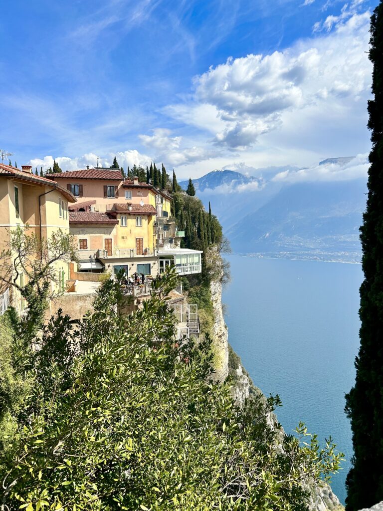Tremosine