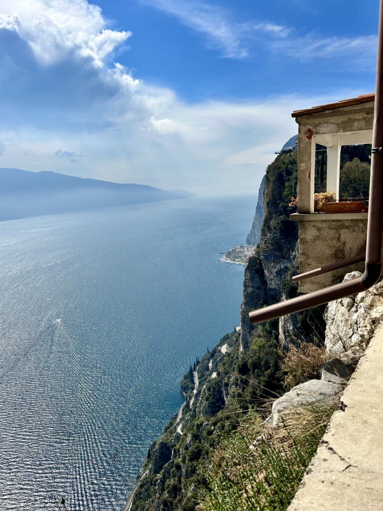 Tremosine