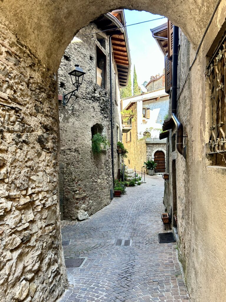 Tremosine
